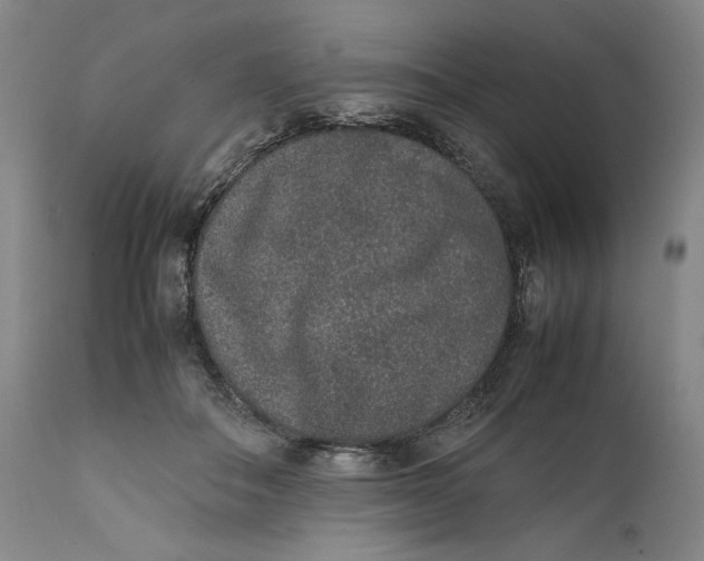 X0000111650506200908071412