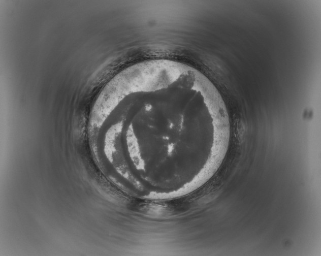 X0000111650507200908071412