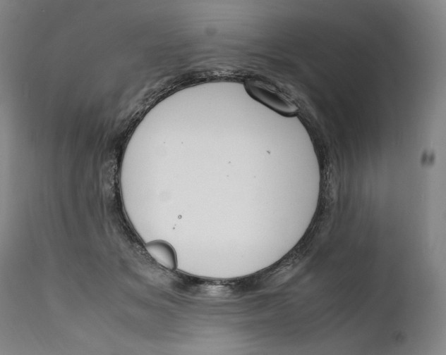 X0000111650509200908071411