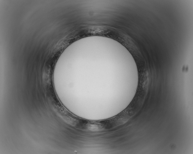 X0000111650510200908071411