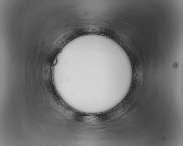 X0000111650511200908071411