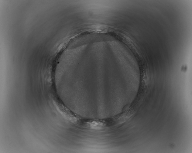 X0000111650512200908071411