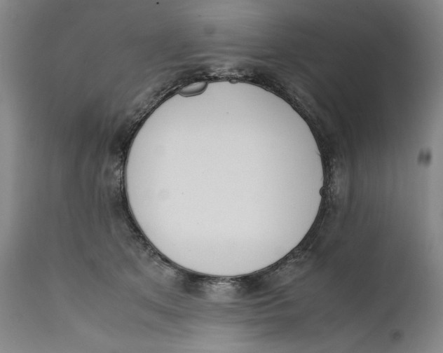 X0000111650513200908071411