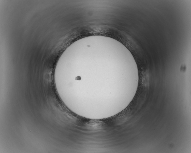 X0000111650514200908071411