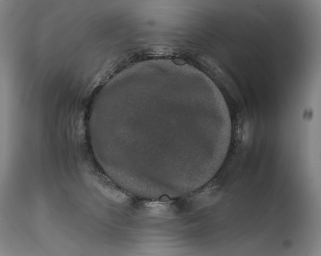 X0000111650516200908071411