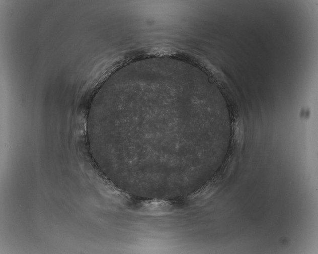 X0000111650517200908071411