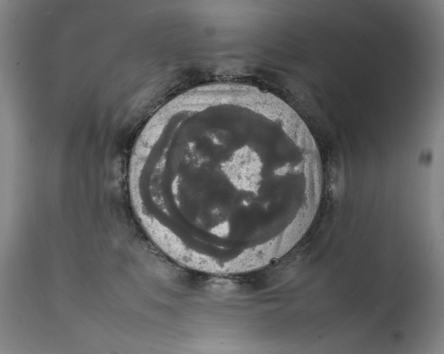 X0000111650519200908071411