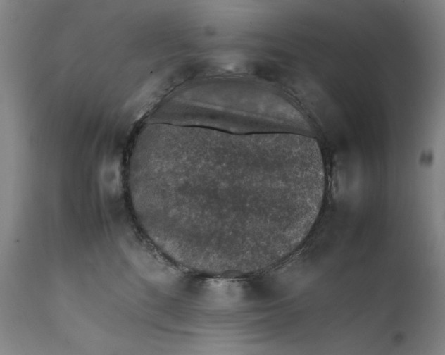 X0000111650520200908071411