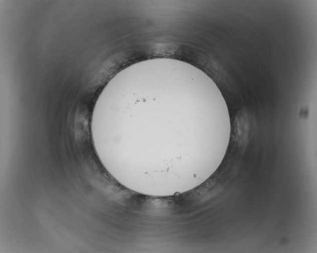 X0000111650522200908071411