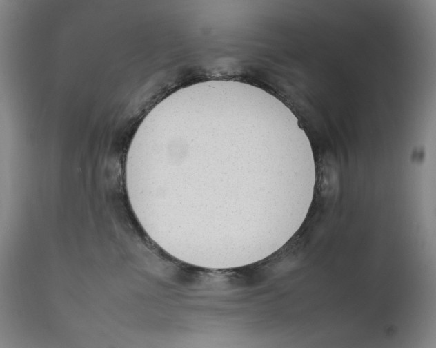 X0000111650523200908071411