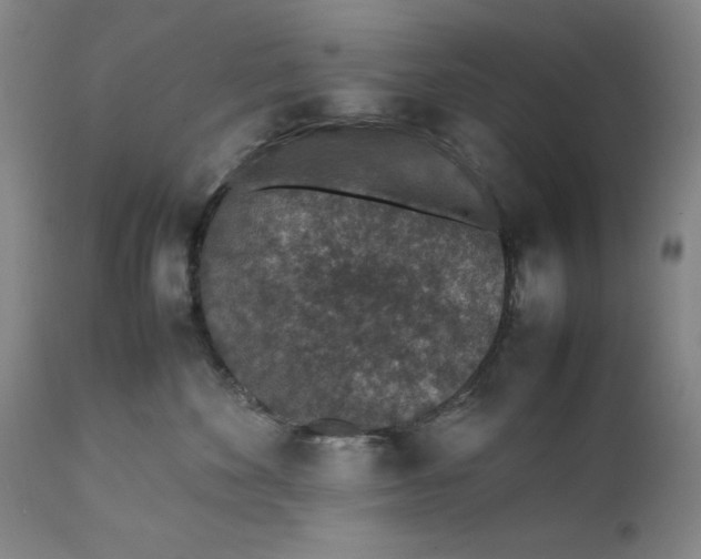 X0000111650524200908071411