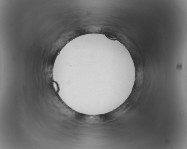 X0000111650525200908071411