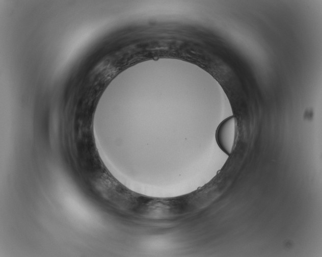X0000111650526200908071411