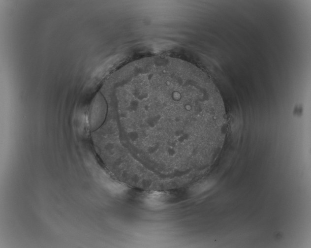 X0000111650527200908071411