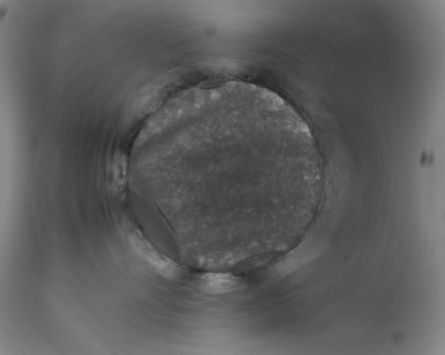 X0000111650528200908071411