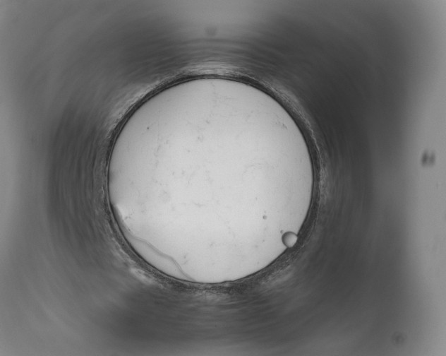 X0000111650529200908071410