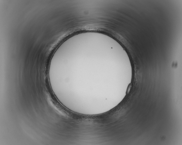 X0000111650530200908071410