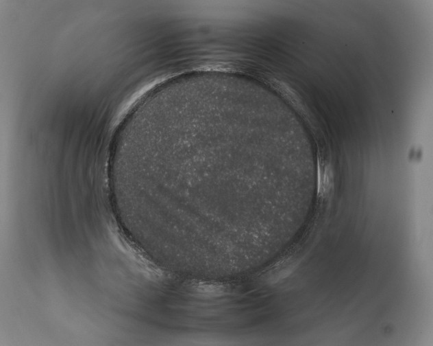 X0000111650531200908071410