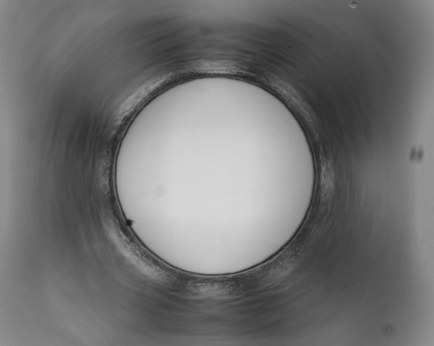 X0000111650533200908071410