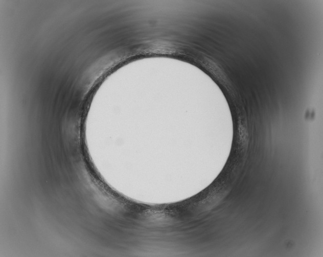 X0000111650534200908071410