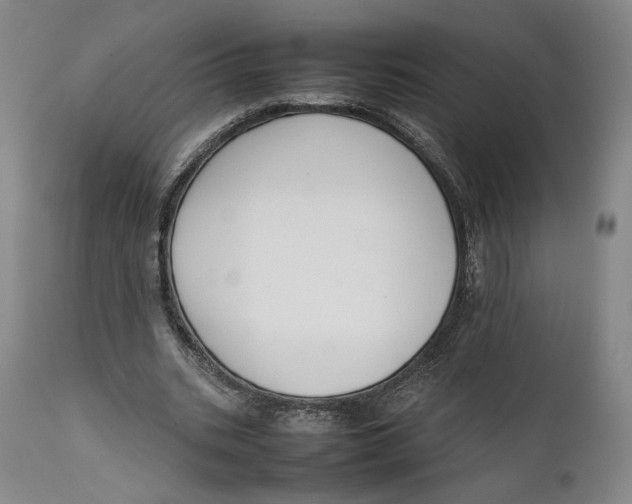 X0000111650535200908071410