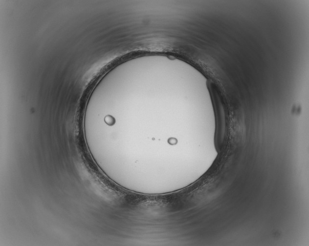X0000111650536200908071410