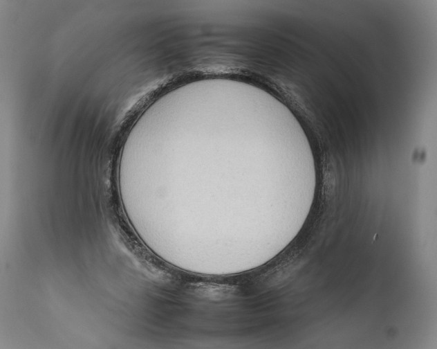 X0000111650539200908071410