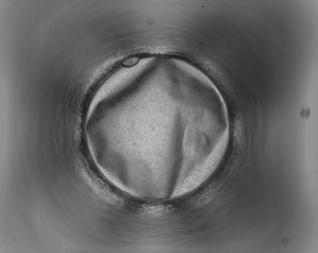 X0000111650540200908071410