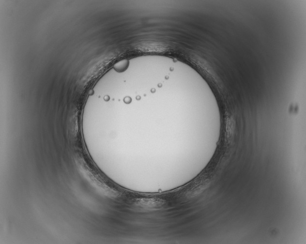 X0000111650541200908071411