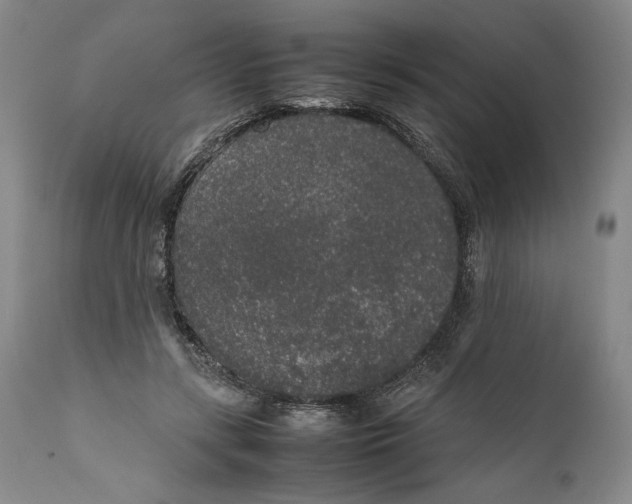 X0000111650547200908071411
