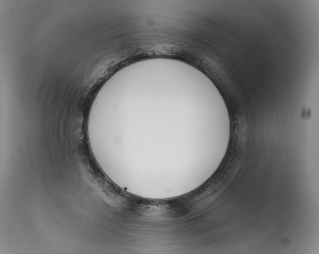 X0000111650548200908071411