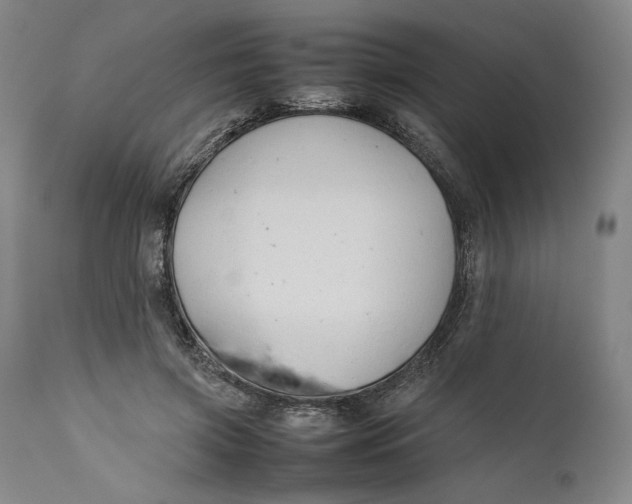 X0000111650549200908071411