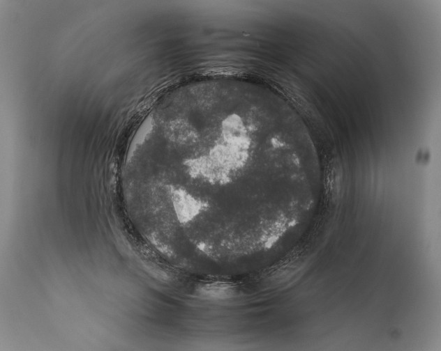 X0000111650551200908071411