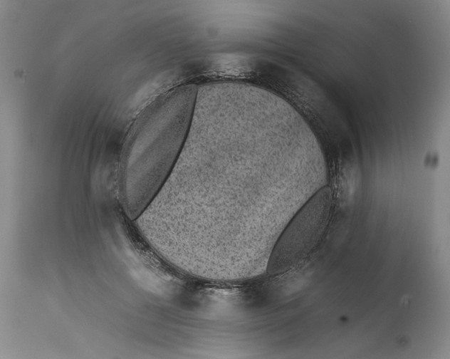 X0000111650552200908071411