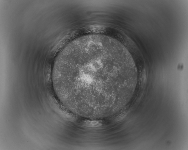 X0000111650553200908071411