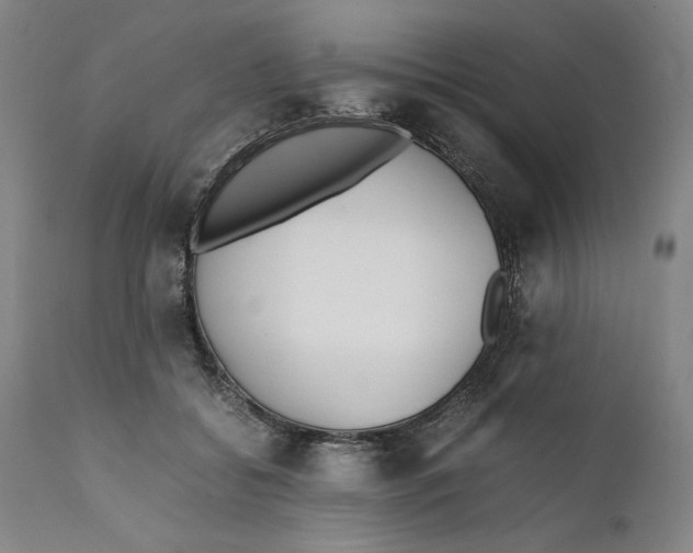 X0000111650556200908071411