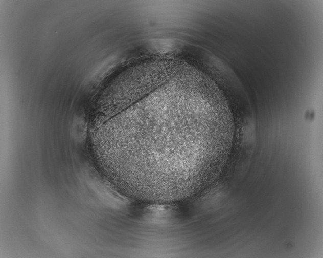 X0000111650558200908071411