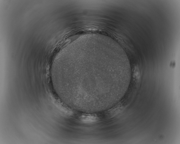 X0000111650559200908071411