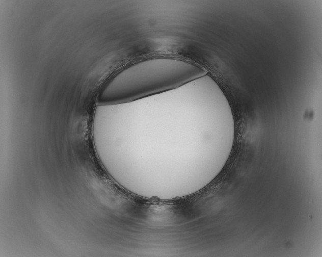 X0000111650560200908071411