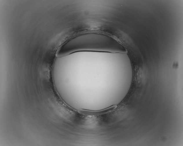 X0000111650562200908071411