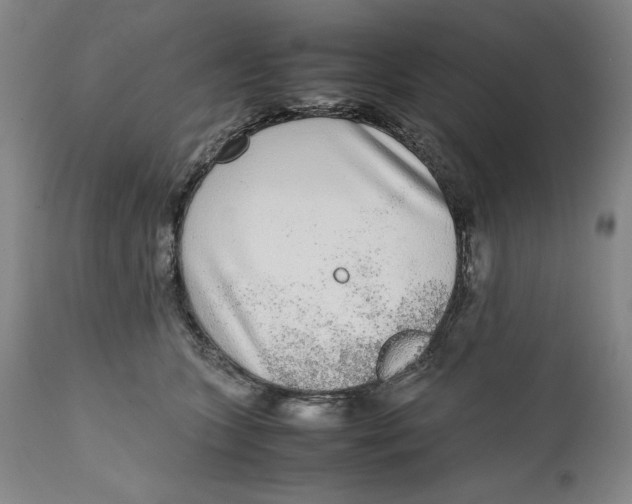 X0000111650563200908071411