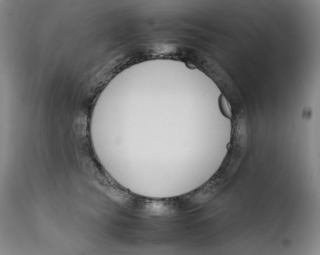 X0000111650565200908071411
