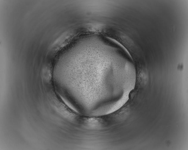 X0000111650566200908071411