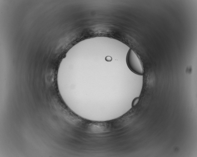 X0000111650567200908071411