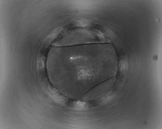 X0000111650570200908071411