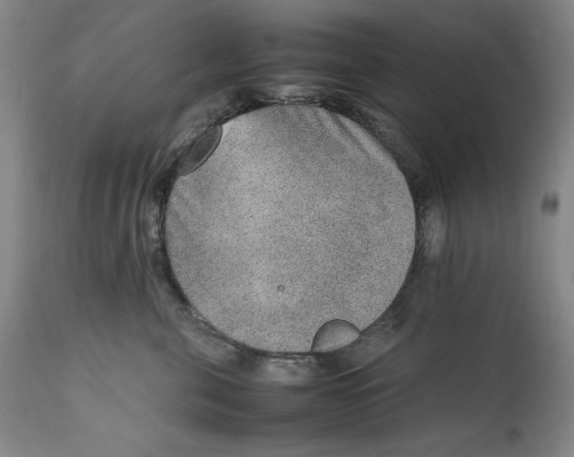 X0000111650571200908071411