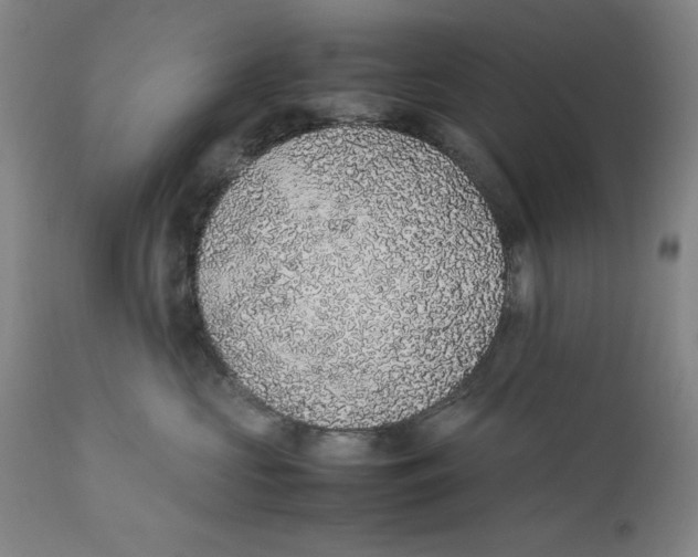 X0000111650573200908071411