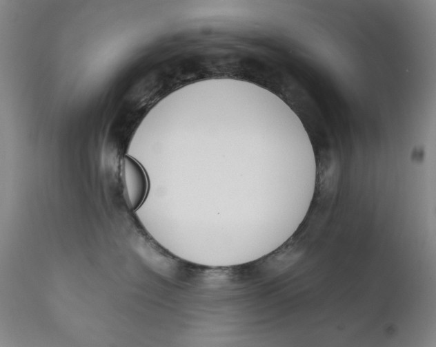 X0000111650574200908071411