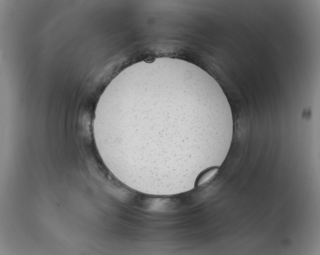 X0000111650575200908071411