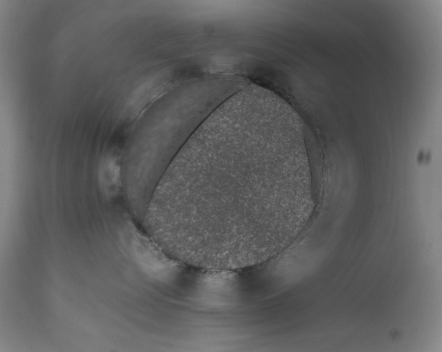 X0000111650576200908071411